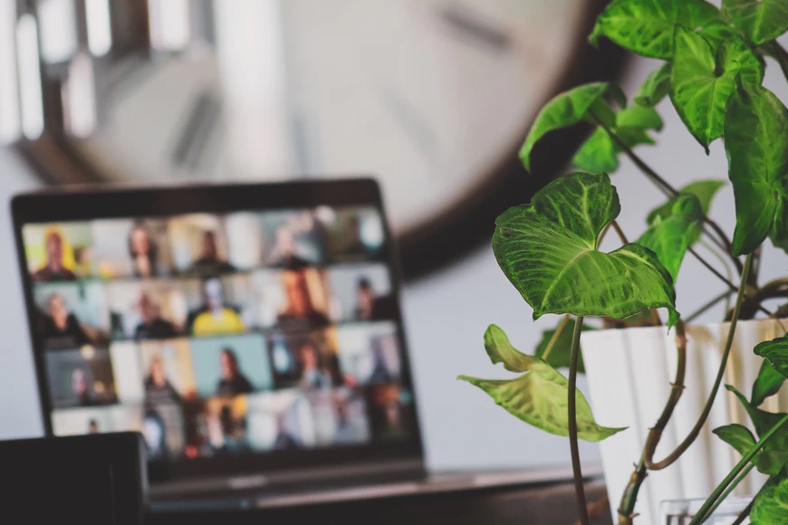 virtual meeting etiquette